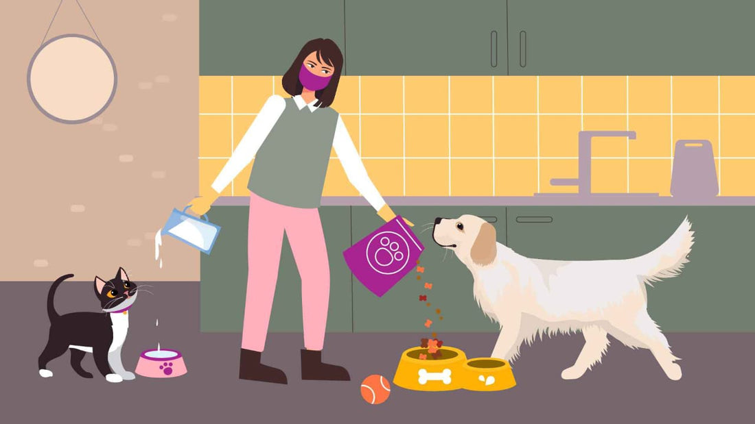 Furry Friends: How to Take Care of Your Pets📝