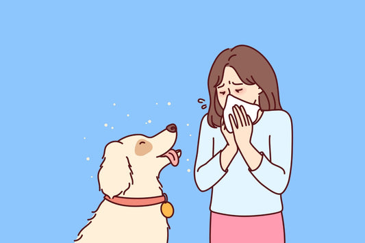 Living with Furever Sniffles? Navigating Pet Allergies 🐾