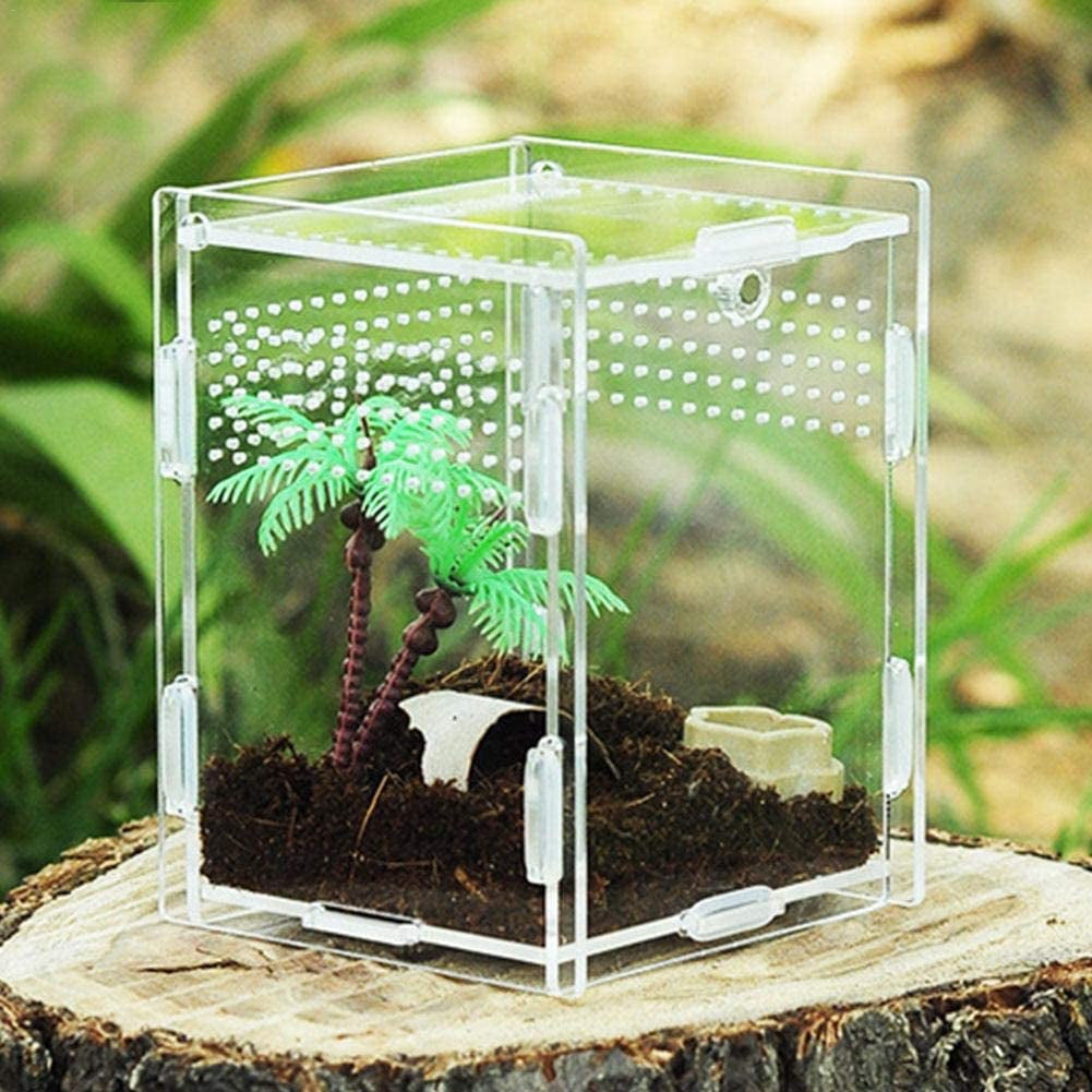 Reptile Breeding Box: Transparent Acrylic, 360° Climbing Terrarium