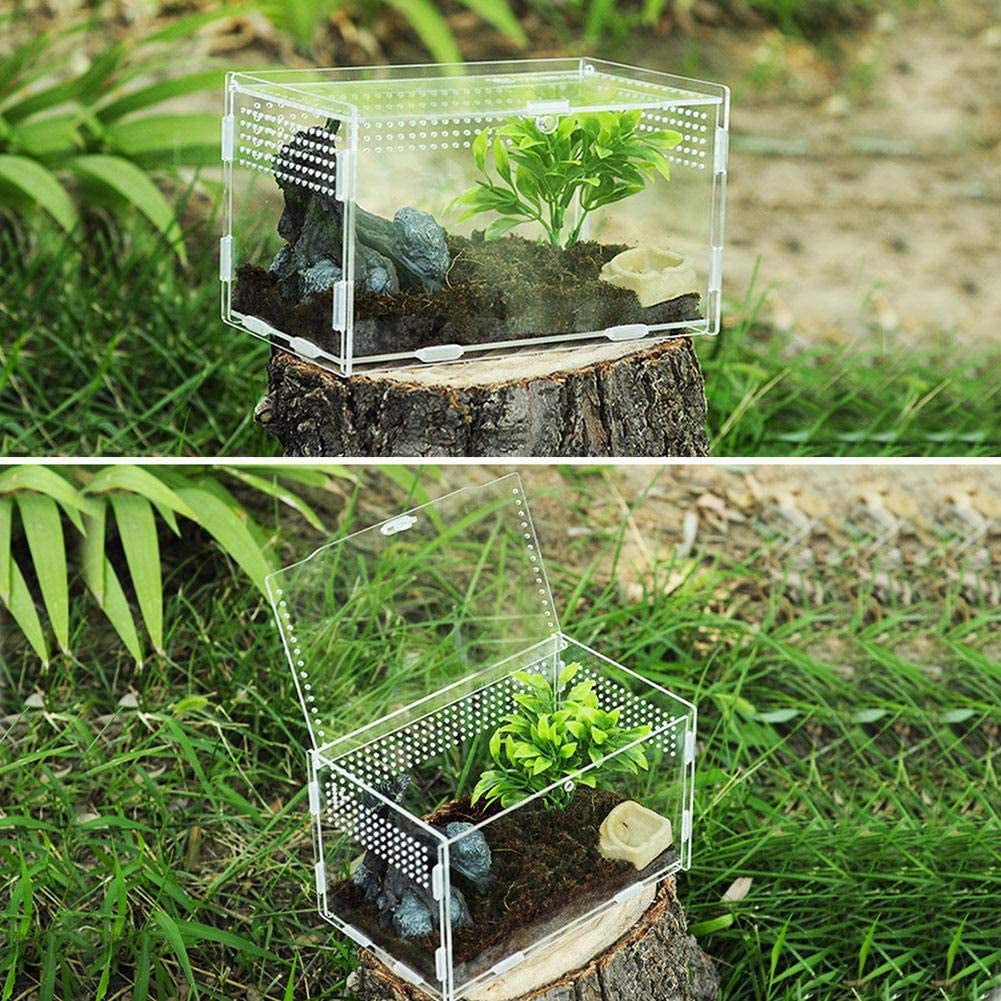 Reptile Breeding Box: Transparent Acrylic, 360° Climbing Terrarium