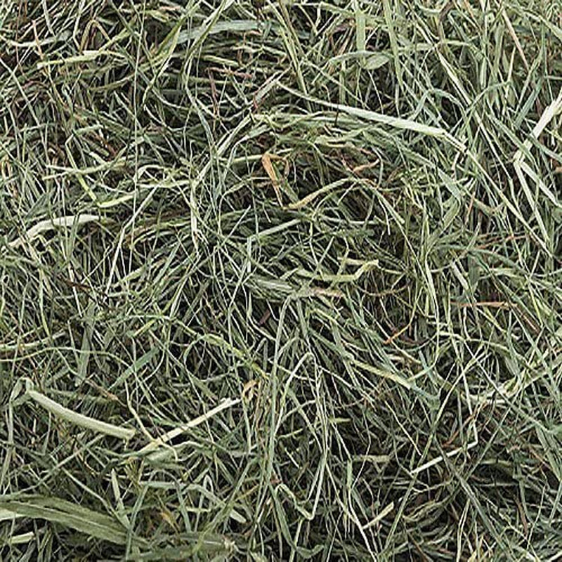 Super Soft 3rd Cutting Timothy Hay: Pet Food, 20 Lb