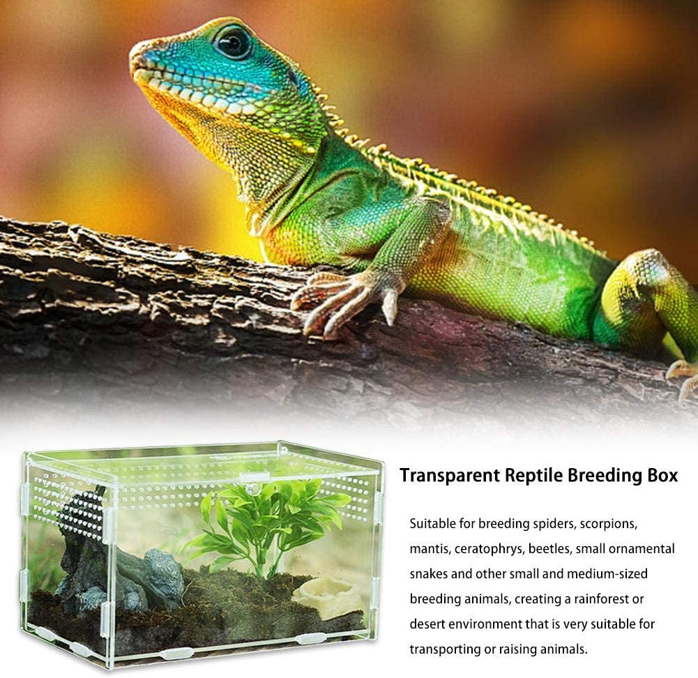 Reptile Breeding Box: Transparent Acrylic, 360° Climbing Terrarium