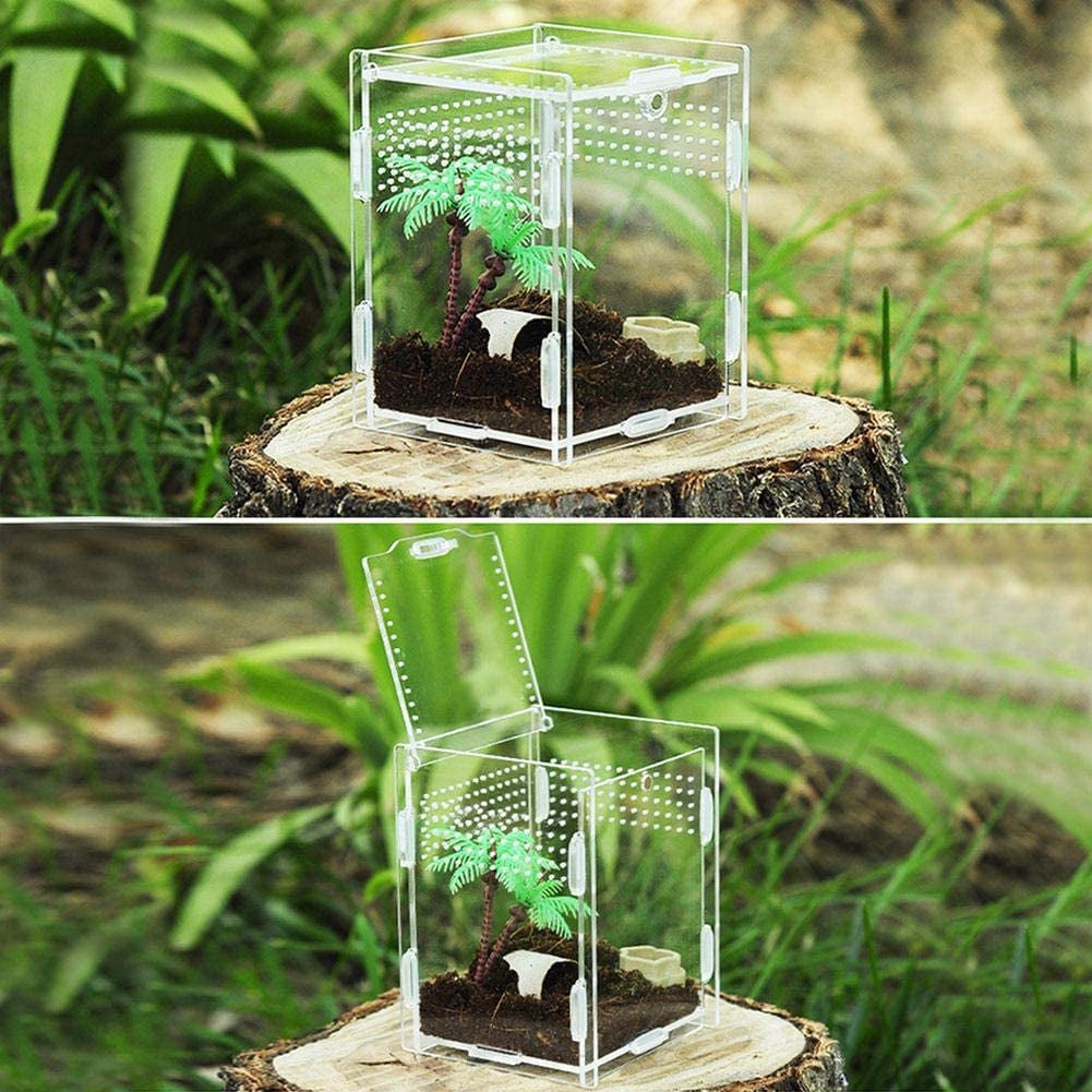 Reptile Breeding Box: Transparent Acrylic, 360° Climbing Terrarium