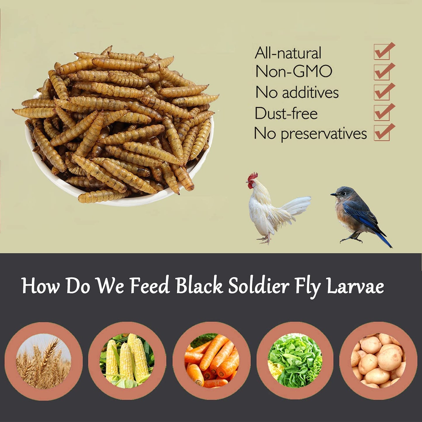 Non-GMO High-Protein Dried Black Soldier Fly Larva: Chicken, Duck, and Wild Bird Feed, Reptile Food - 22 lb