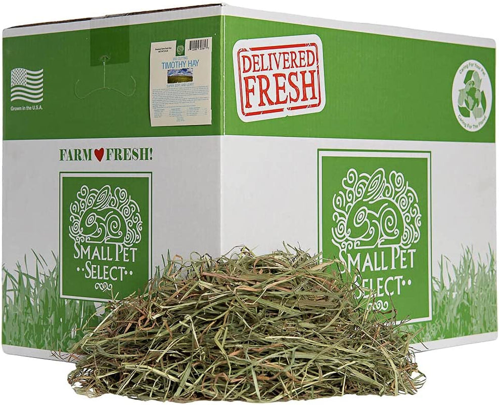 Super Soft 3rd Cutting Timothy Hay: Pet Food, 20 Lb