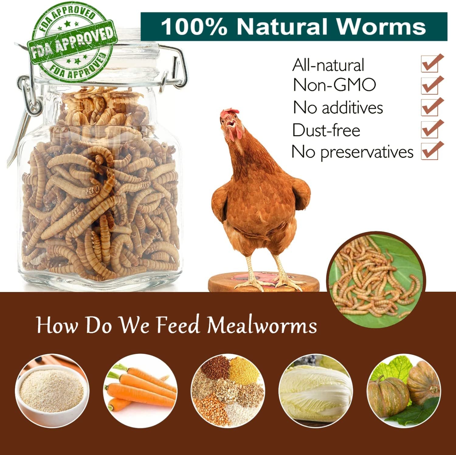 Non-GMO High-Protein Dried Mealworms: Chicken, Duck, Wild Bird, Fish, Reptile, and Amphibian Feed - 5 lb