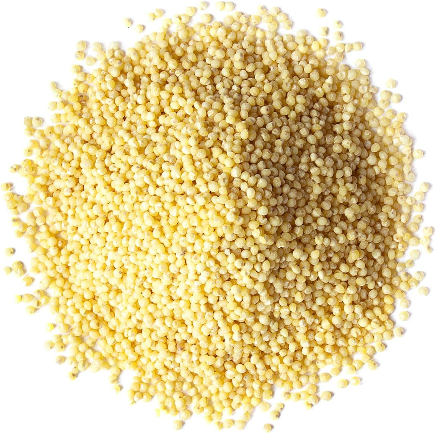 Hulled Millet, 18 Pounds – Whole Grain Seeds, Kosher, Raw, Bulk