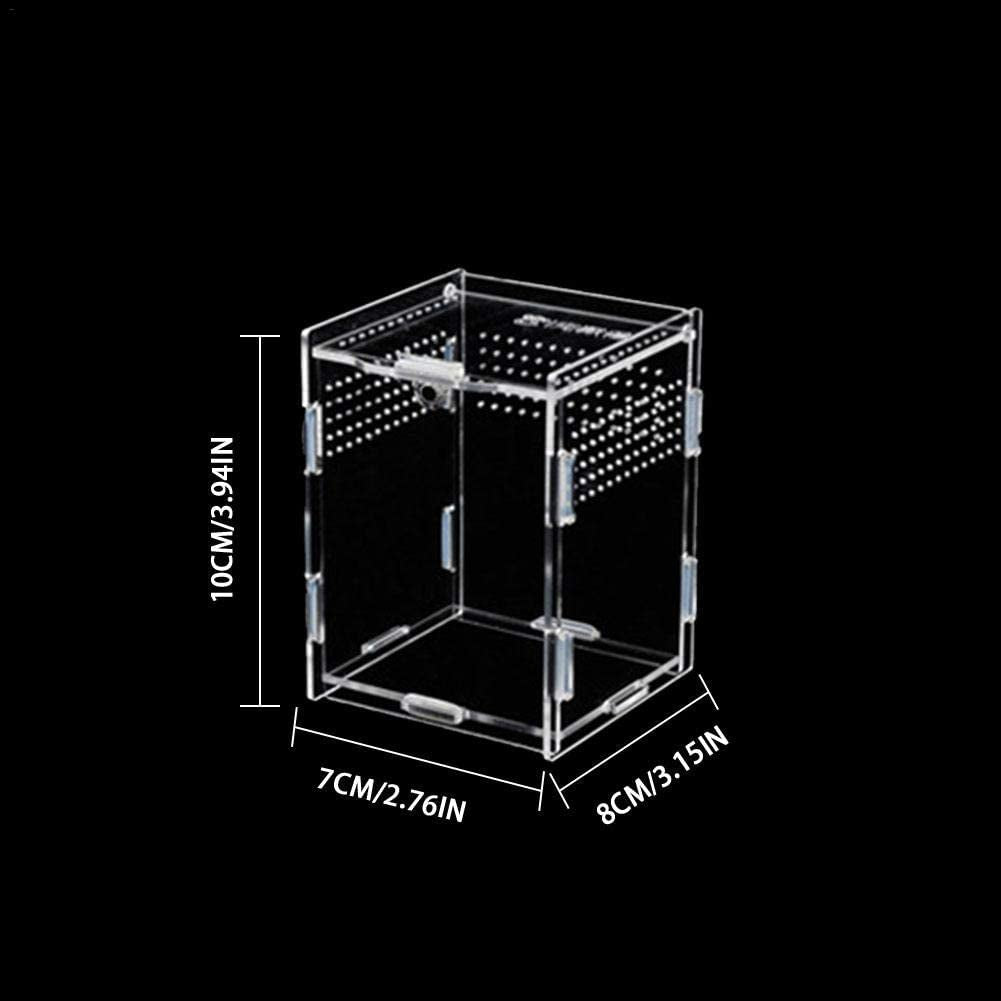 Reptile Breeding Box: Transparent Acrylic, 360° Climbing Terrarium