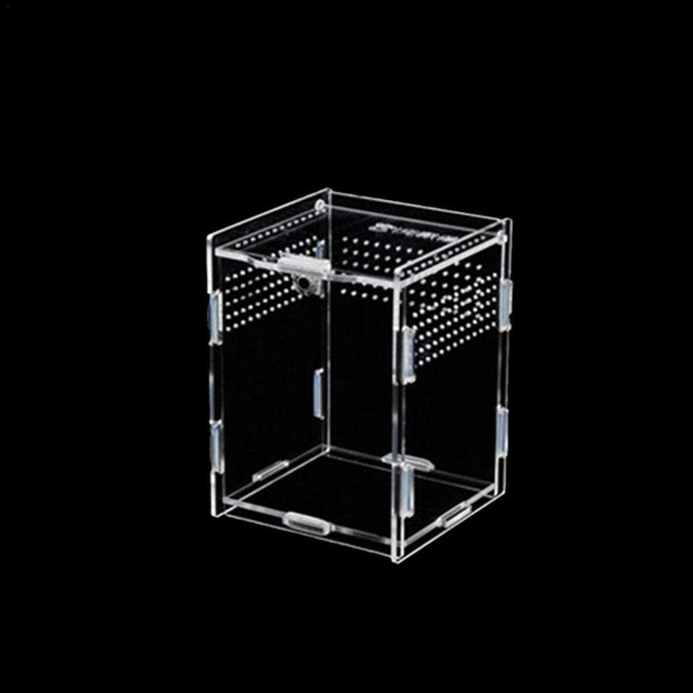 Reptile Breeding Box: Transparent Acrylic, 360° Climbing Terrarium