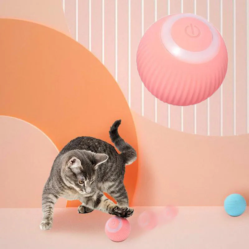 Electric Cat Ball Toys: Automatic rolling, smart, for indoor play.