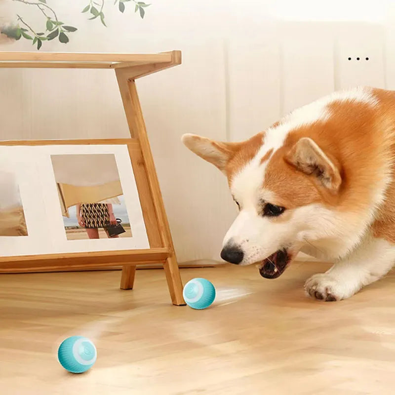 Electric Cat Ball Toys: Automatic rolling, smart, for indoor play.