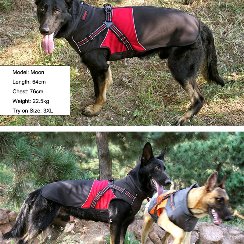 Adjustable Dog Harness