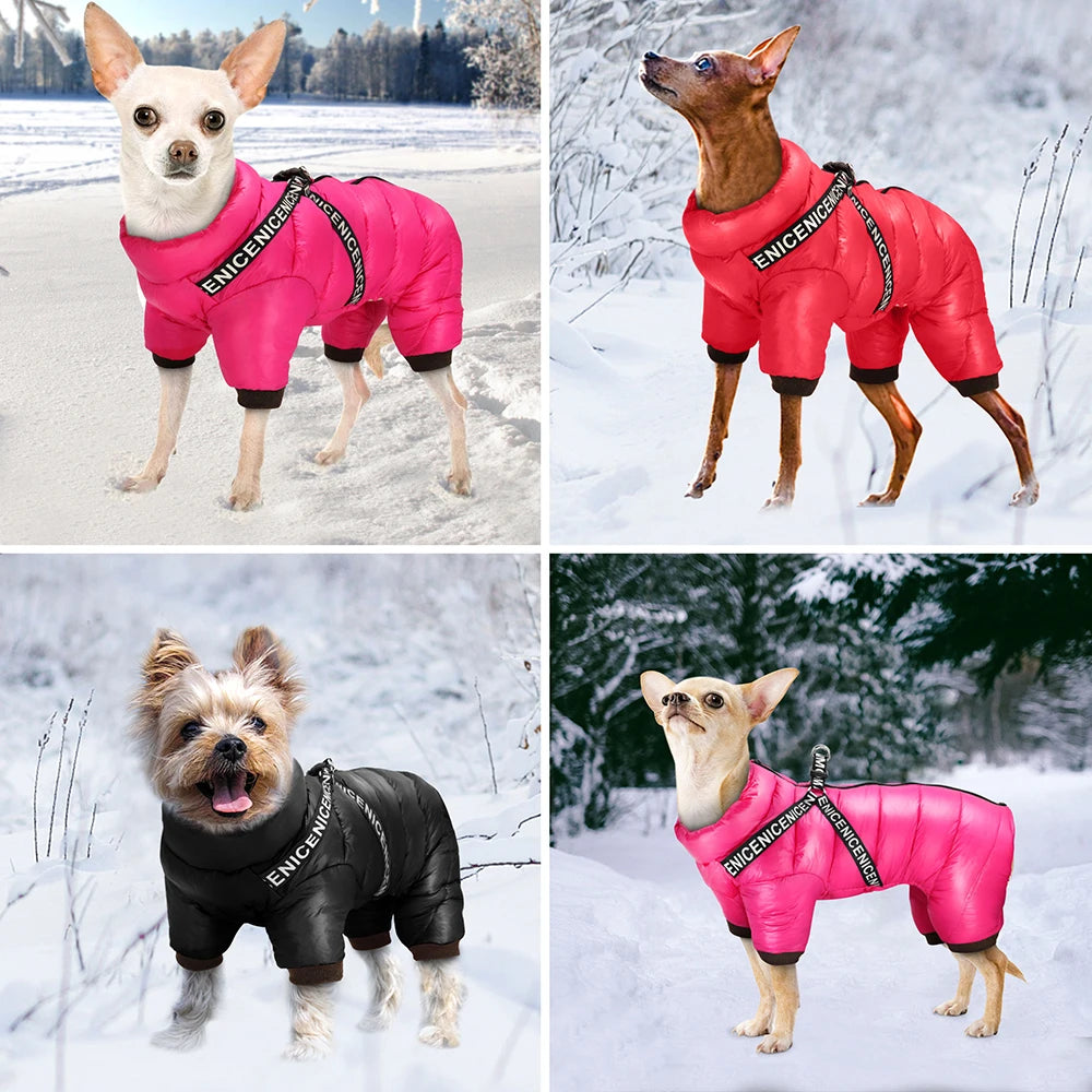 Winter Dog Jacket with Harness: Super warm, waterproof hoodies.