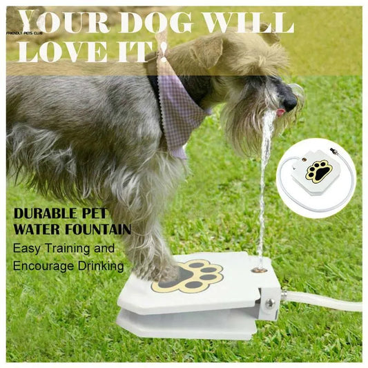 Upgrade Pet Step Spray: Fountain Feeder with Drinking Spring