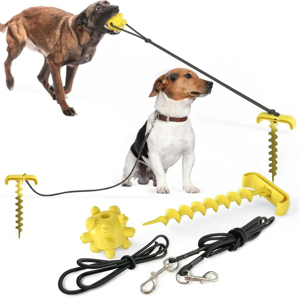 Tie dog leash: Stylish leash and toy combo for dogs.