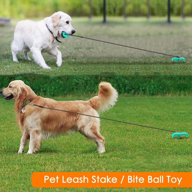 Tie dog leash: Stylish leash and toy combo for dogs.