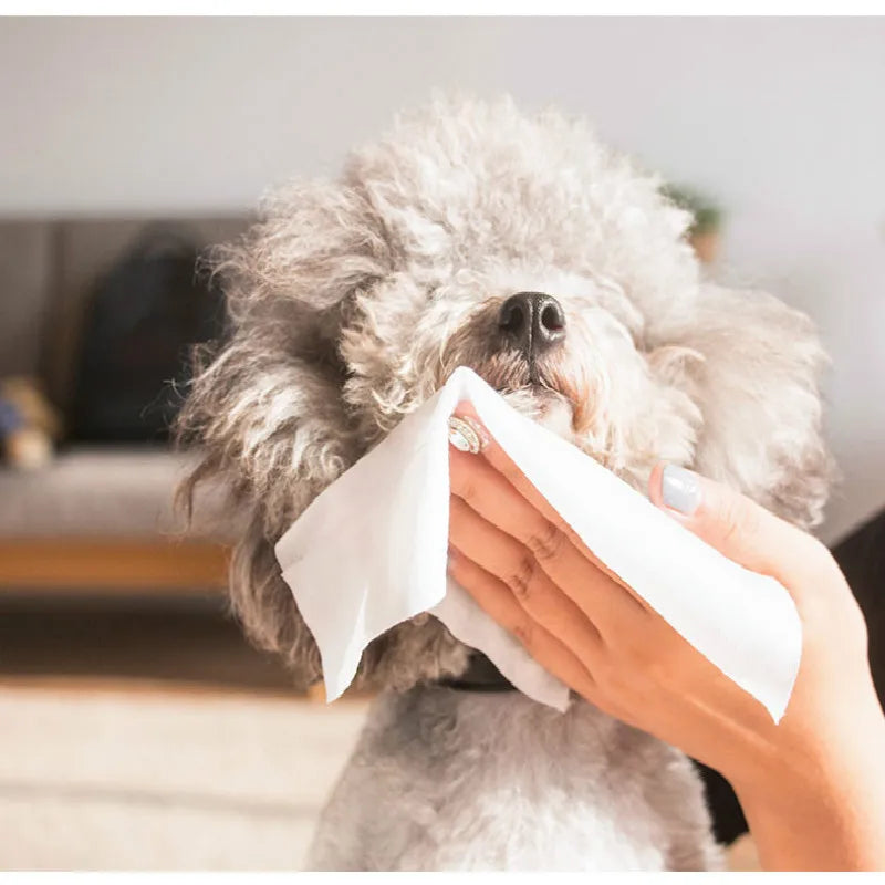 Puppy Wipes: Freshen Up Your Pet's Summer Adventures!