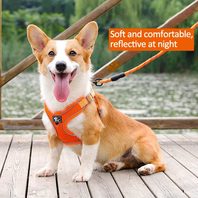 Reflective Vest Harness: Adjustable Mesh for Pet Safety.