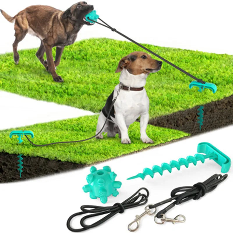 Tie dog leash: Stylish leash and toy combo for dogs.