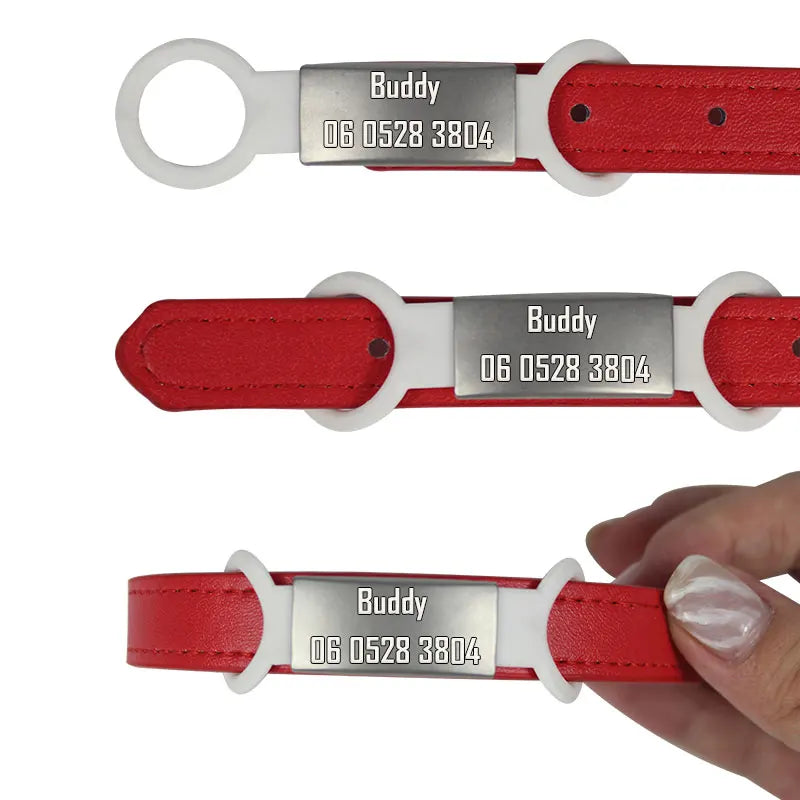 Personalized Pet ID Tags: Custom, noise-free collar tags.