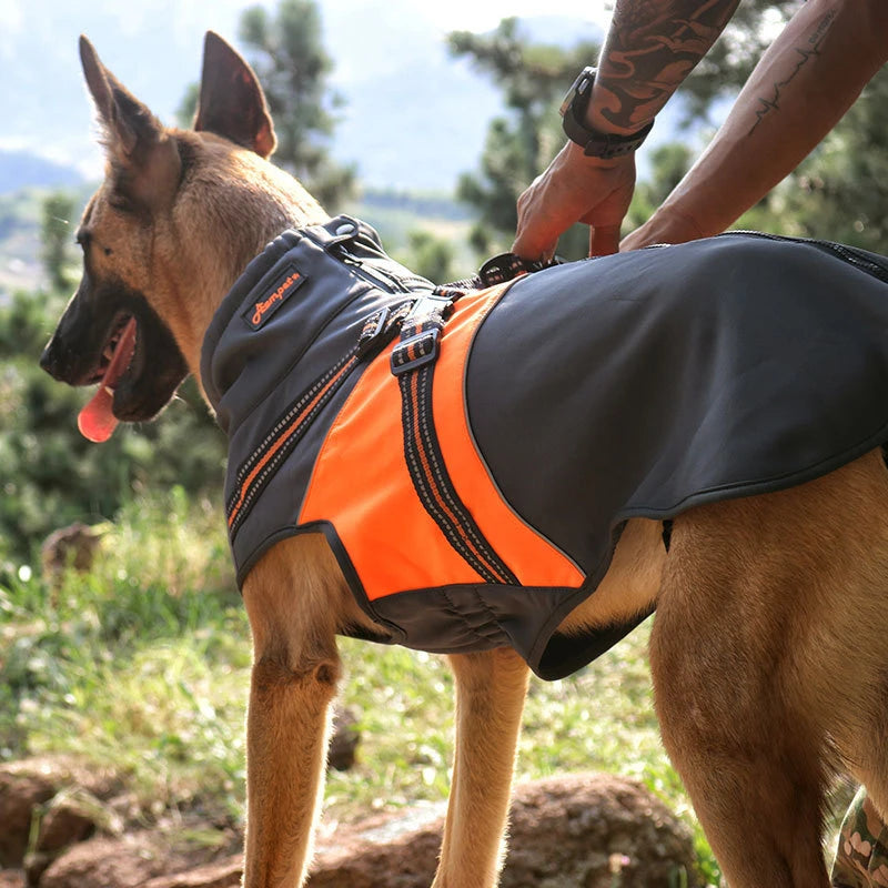 Adjustable Dog Harness