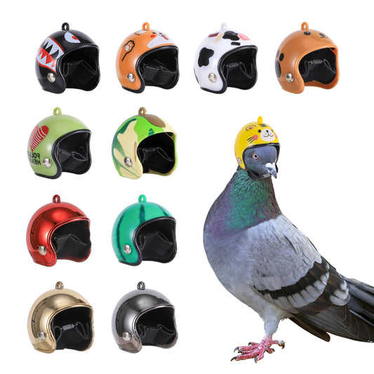 Pigeon Helmet: Protective Gear for Birds