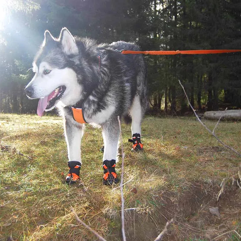 Non-Slip Dog Shoes: Protect Your Dog's Paws on Any Surface!