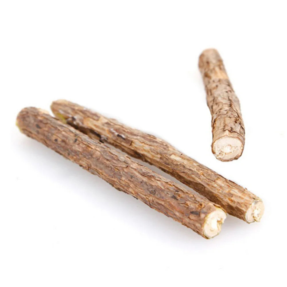 Natural Catnip Toothpaste Stick: Pet Dental Care Snacks