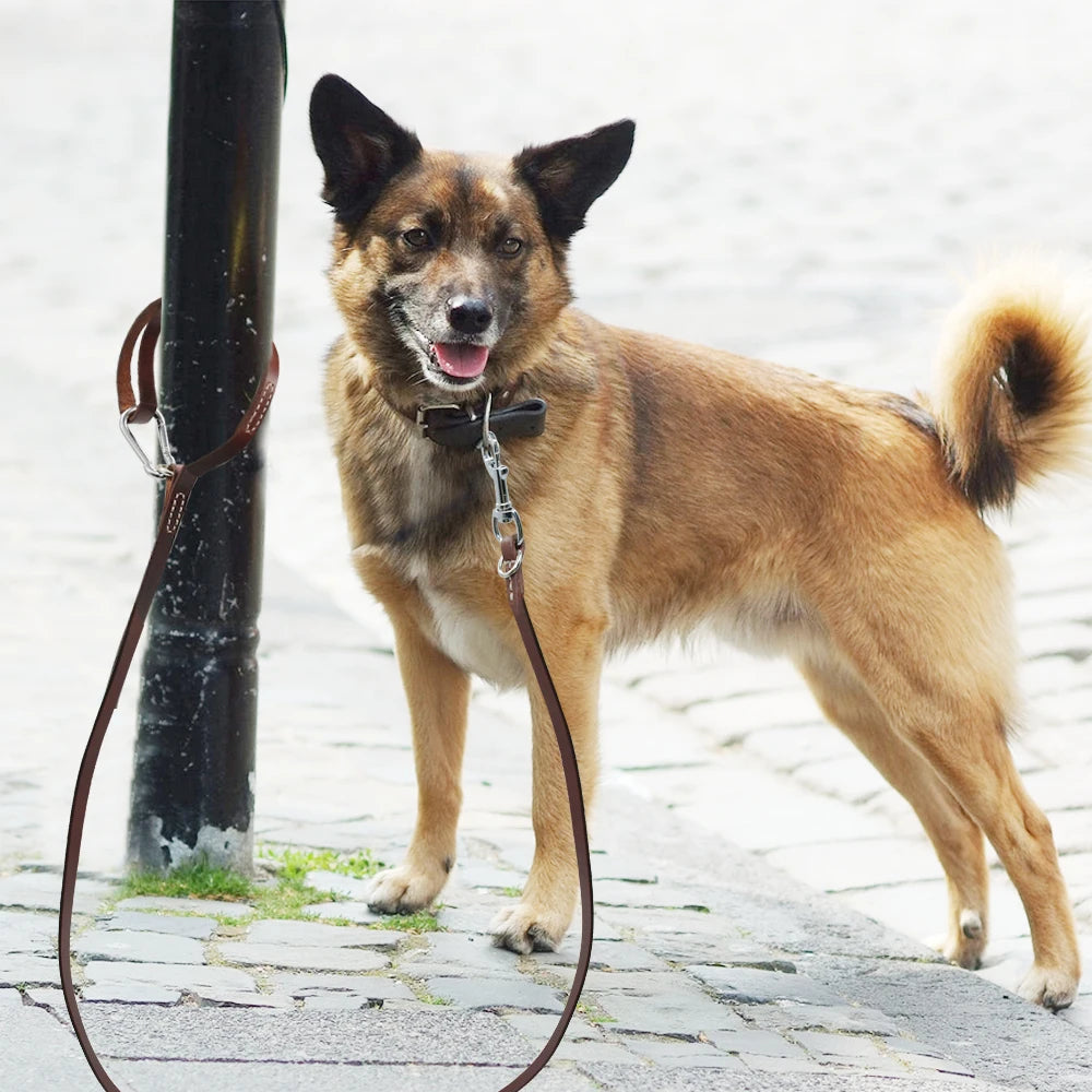 Leather Dog Leash: Durable, Leashed with Mountaineering Buckle, for Medium Large Dogs