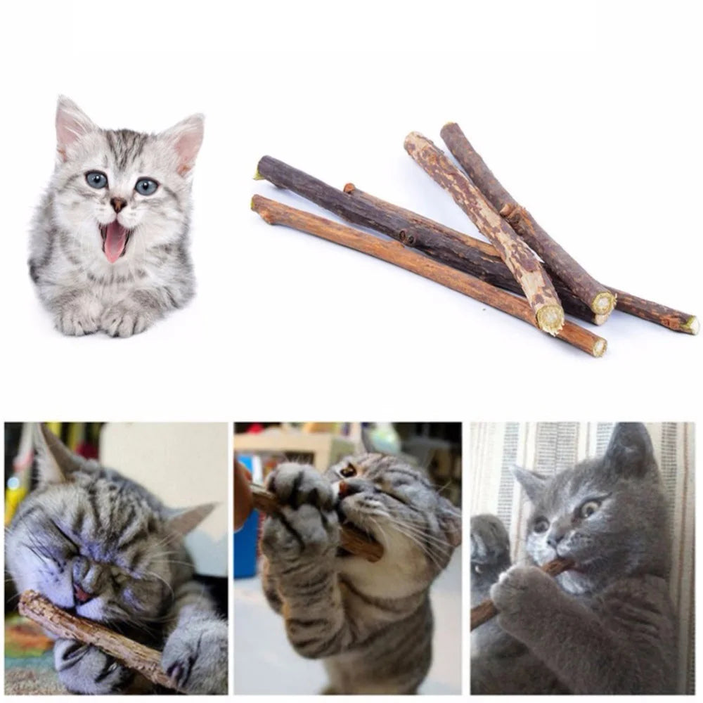 Natural Catnip Toothpaste Stick: Pet Dental Care Snacks