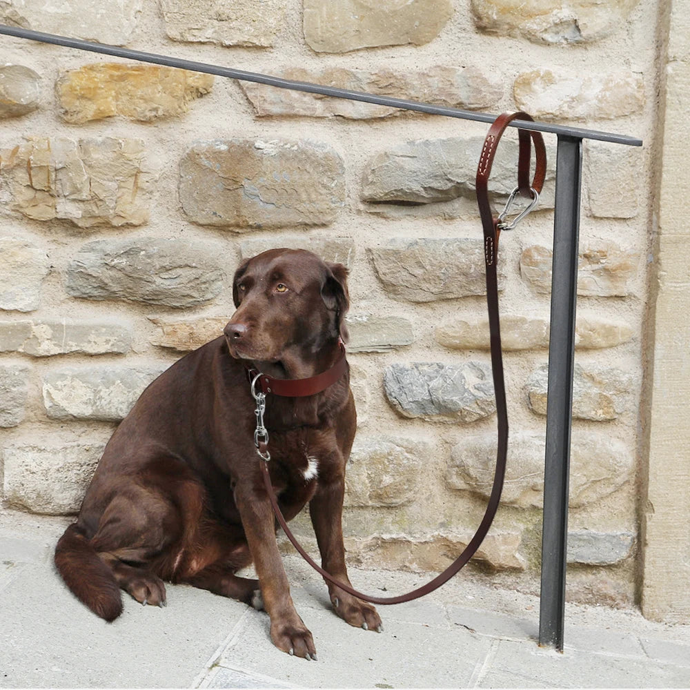 Leather Dog Leash: Durable, Leashed with Mountaineering Buckle, for Medium Large Dogs