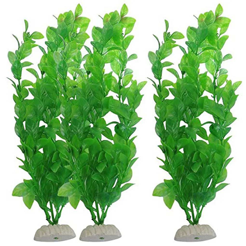 Underwater Plants: Add Vibrancy to Your Aquarium Decor!