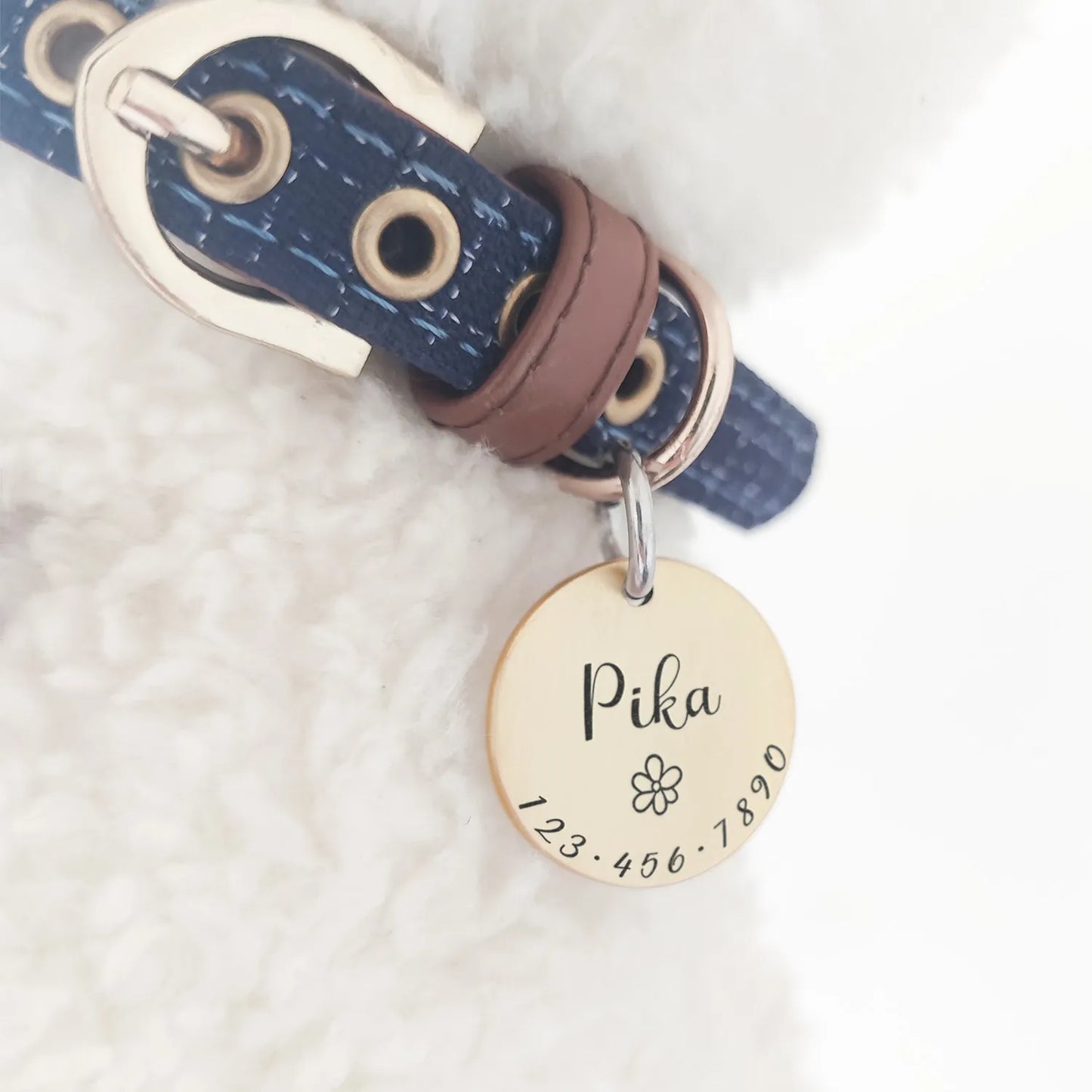 Custom Engraved Pet ID Tags: Pamper Your Furry Friend!