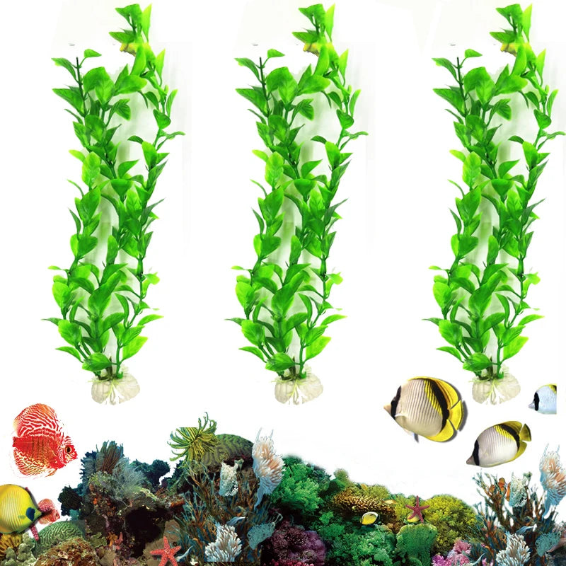 Underwater Plants: Add Vibrancy to Your Aquarium Decor!