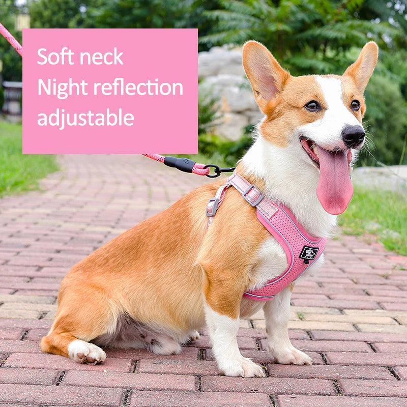 Reflective Vest Harness: Adjustable Mesh for Pet Safety.