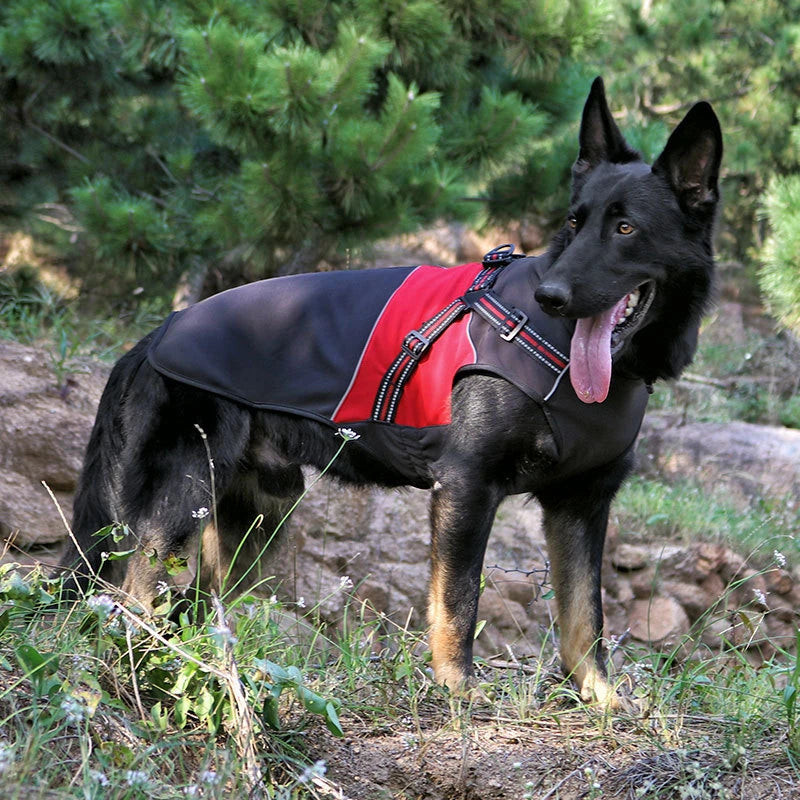 Adjustable Dog Harness