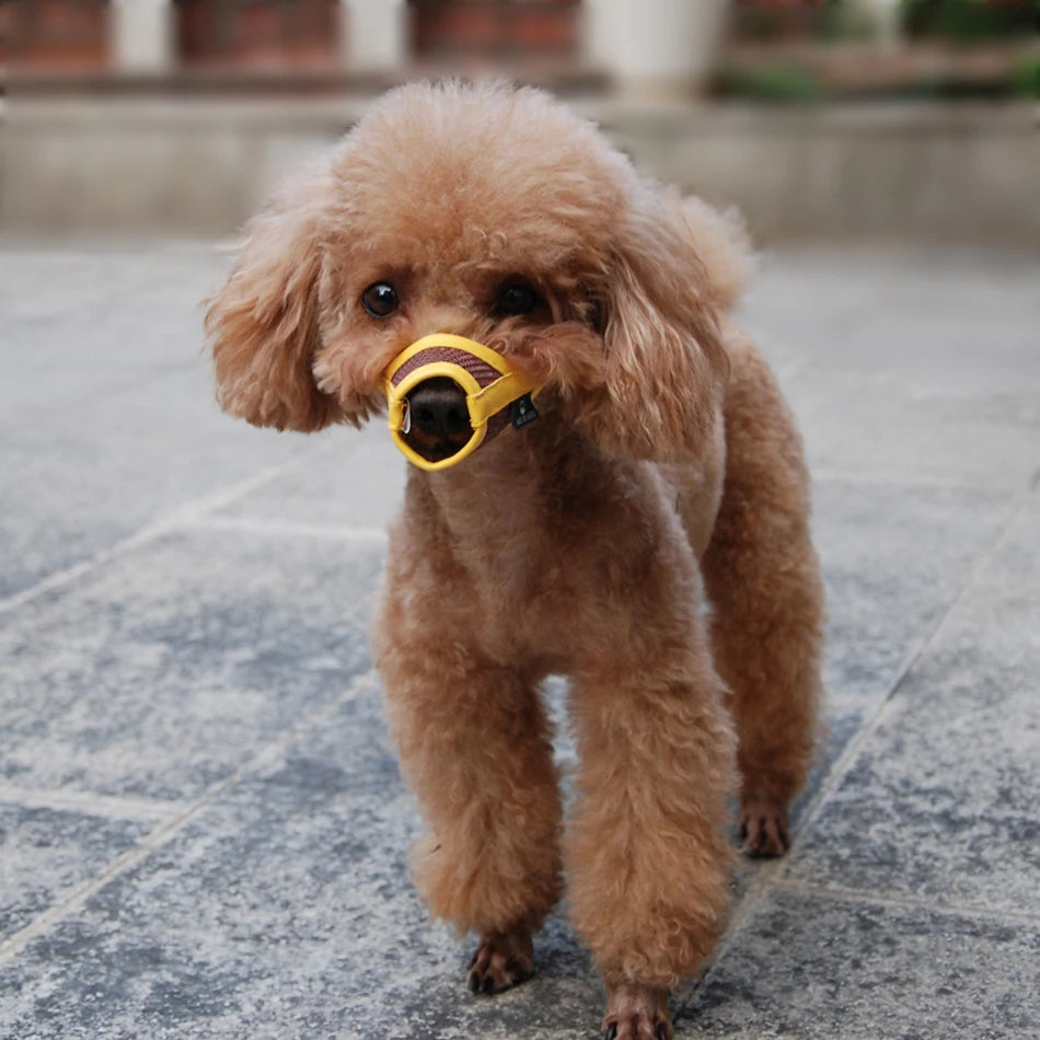 Adjustable Dog Muzzle