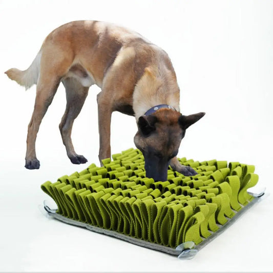 Sniffing Mat Puzzle Toy: Interactive Game, Feeding Training Blanket