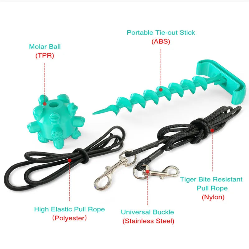 Tie dog leash: Stylish leash and toy combo for dogs.