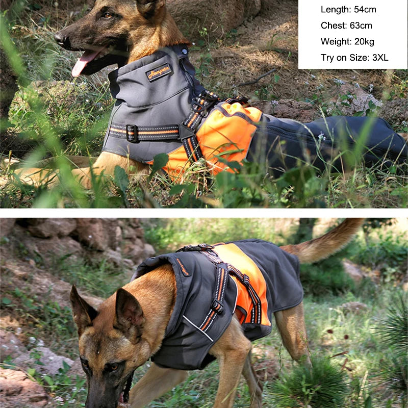 Adjustable Dog Harness