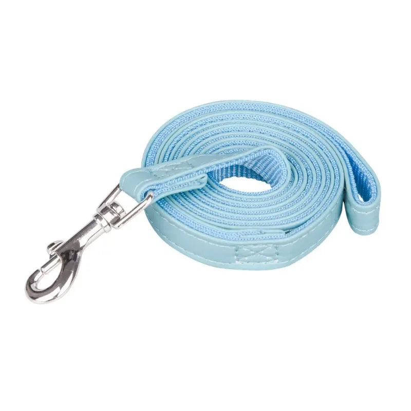 Pet Leash: Super Soft Handle, Heavy-Duty Nylon, Daily Use.