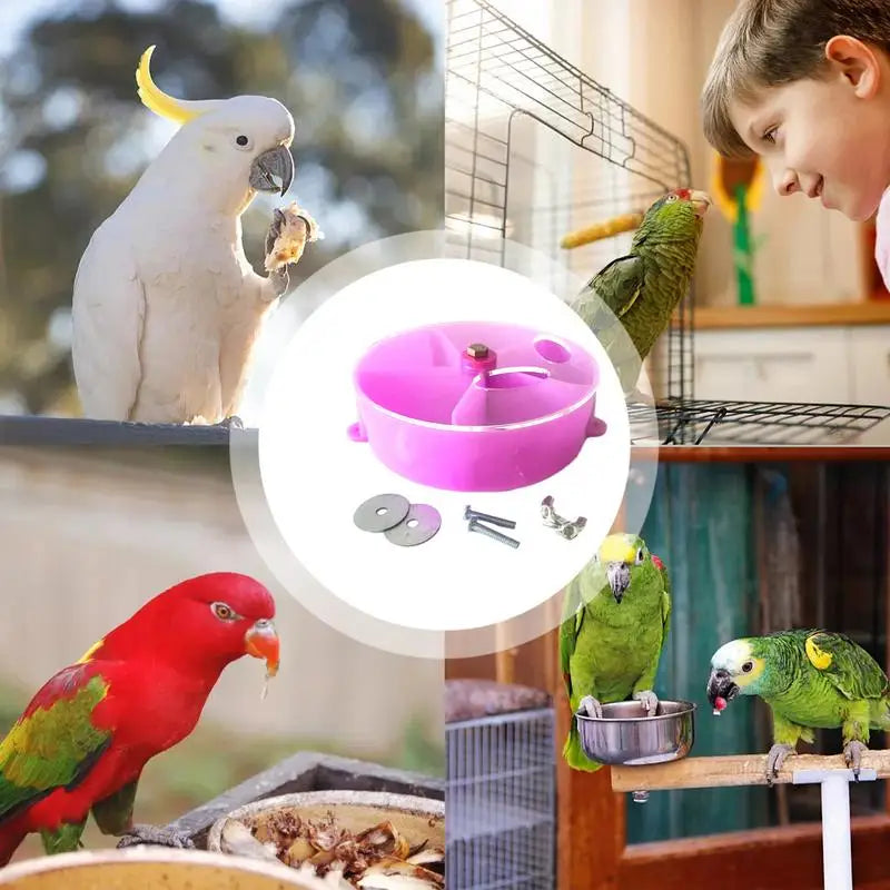 Foraging Bird Toy: Stimulate Your Bird's Natural Instincts!