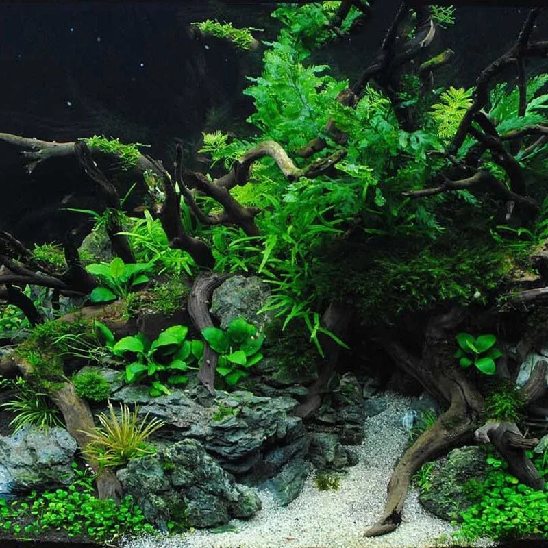 Natural Aquarium Ornament: Bring Nature into Your Fish Tank!