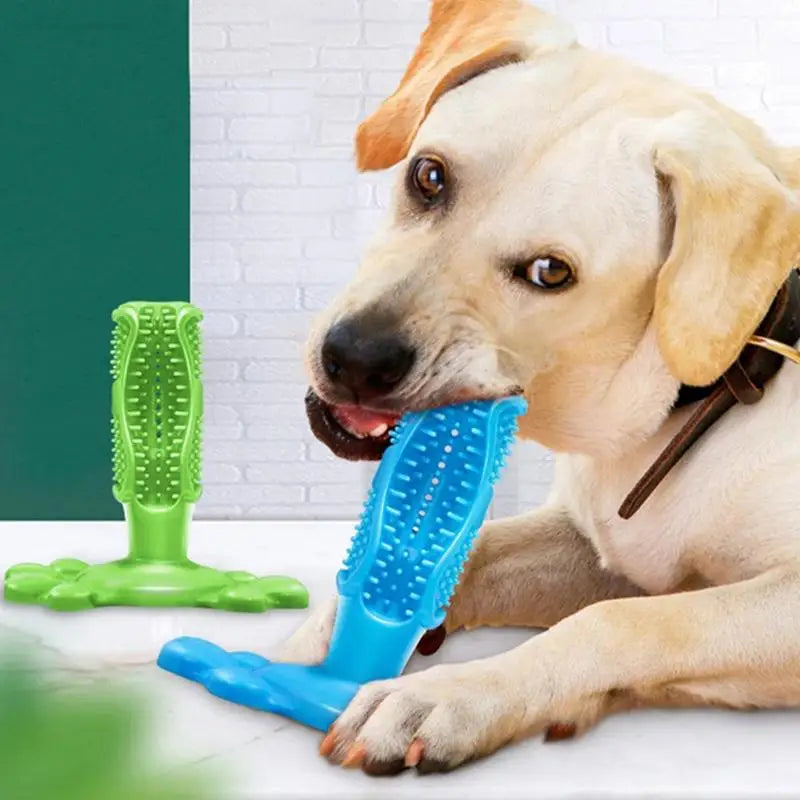 Puppy Toothbrush Toy: Massages and Cleans Dog's Teeth.