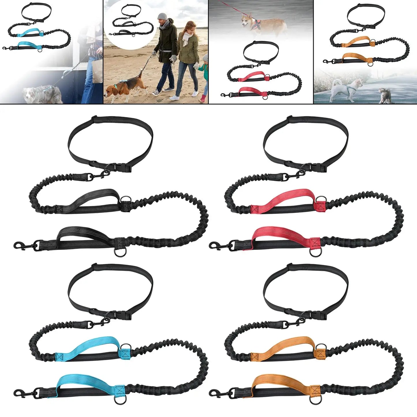 Reflective Dog Leash: Ensure Visibility During Walks!