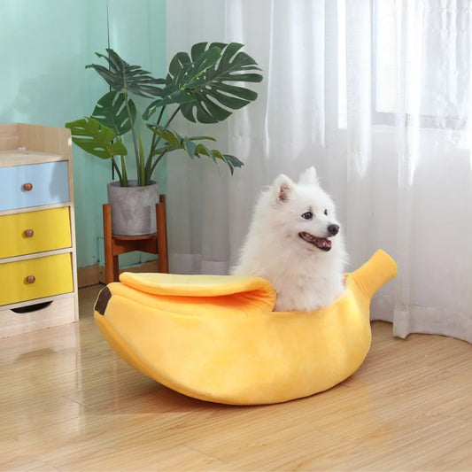 Banana-Shaped Dog House