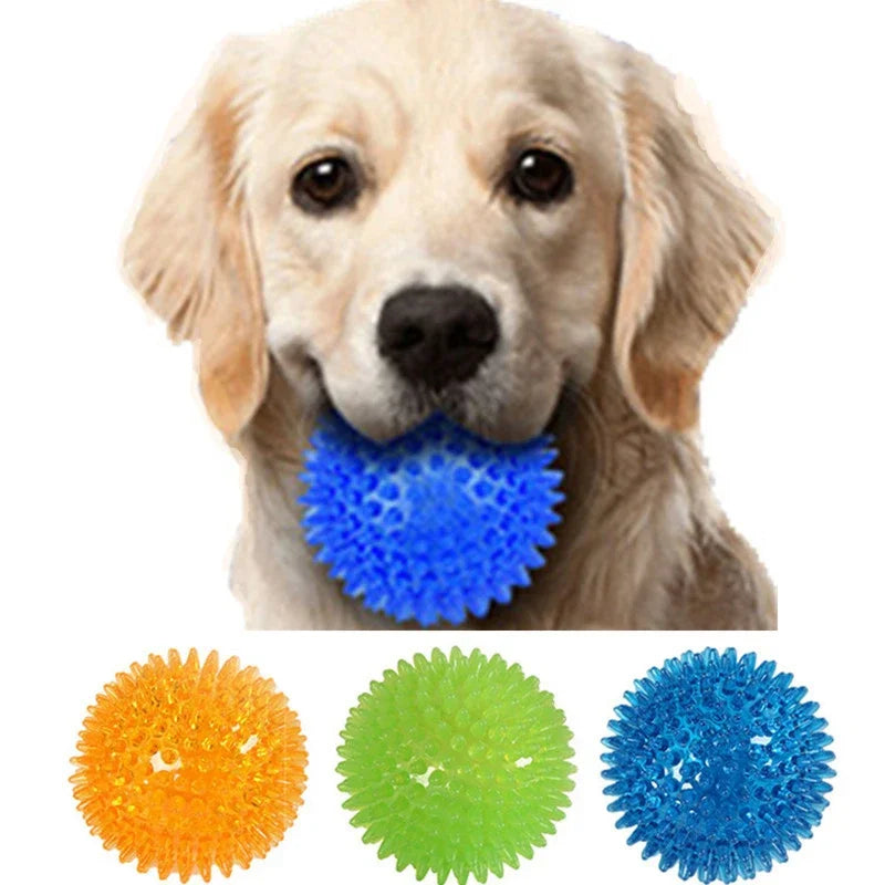 TPR hedgehog ball: Dental hygiene, interactive play for puppies.