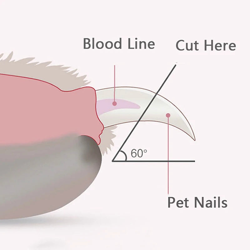 LED Pet Nail Clippers: Professional Grooming with LED Light.