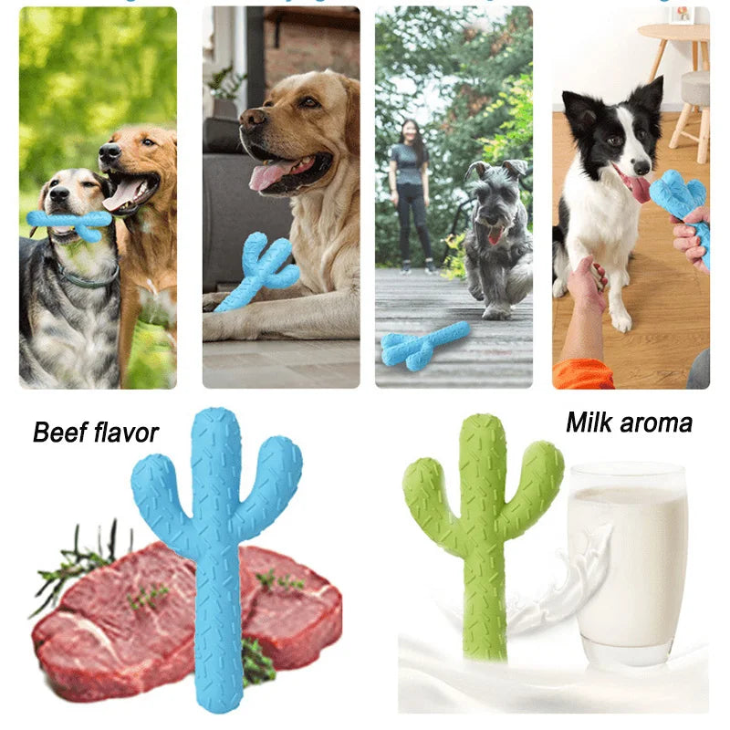 Eco-Friendly Cactus Dog Chew Toy: Tough Training and Cleaning