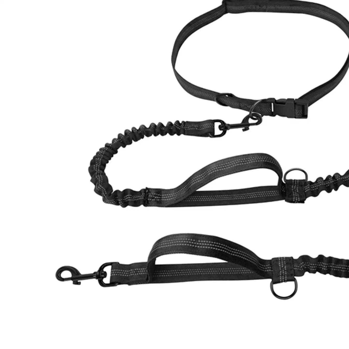 Reflective Dog Leash: Ensure Visibility During Walks!